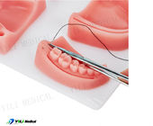 दंत चिकित्सा शिक्षा के लिए यथार्थवादी मौखिक स्पर्श घाव सिलाई अभ्यास पैड